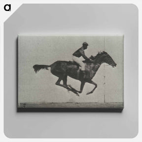 アートパネル-Galloping Horse and Rider
 - エドワード マイブリッジ Canvas.