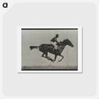 アートポストカード-Galloping Horse and Rider
 - エドワード マイブリッジ Postcard.