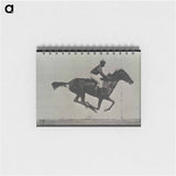 アートメモ帳-Galloping Horse and Rider
 - エドワード マイブリッジ Memo.
