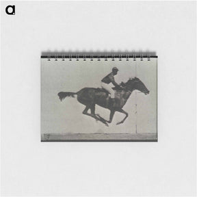 アートメモ帳-Galloping Horse and Rider
 - エドワード マイブリッジ Memo.