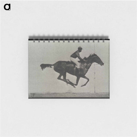 アートメモ帳-Galloping Horse and Rider
 - エドワード マイブリッジ Memo.