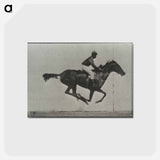 アートポストカード-Galloping Horse and Rider
 - エドワード マイブリッジ Postcard.