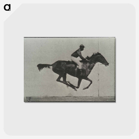 アートポストカード-Galloping Horse and Rider
 - エドワード マイブリッジ Postcard.