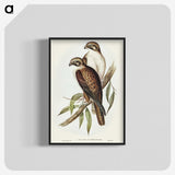 3-54_John-Gould_blk-crop