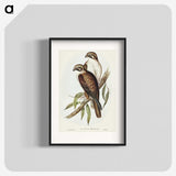3-54_John-Gould_blk