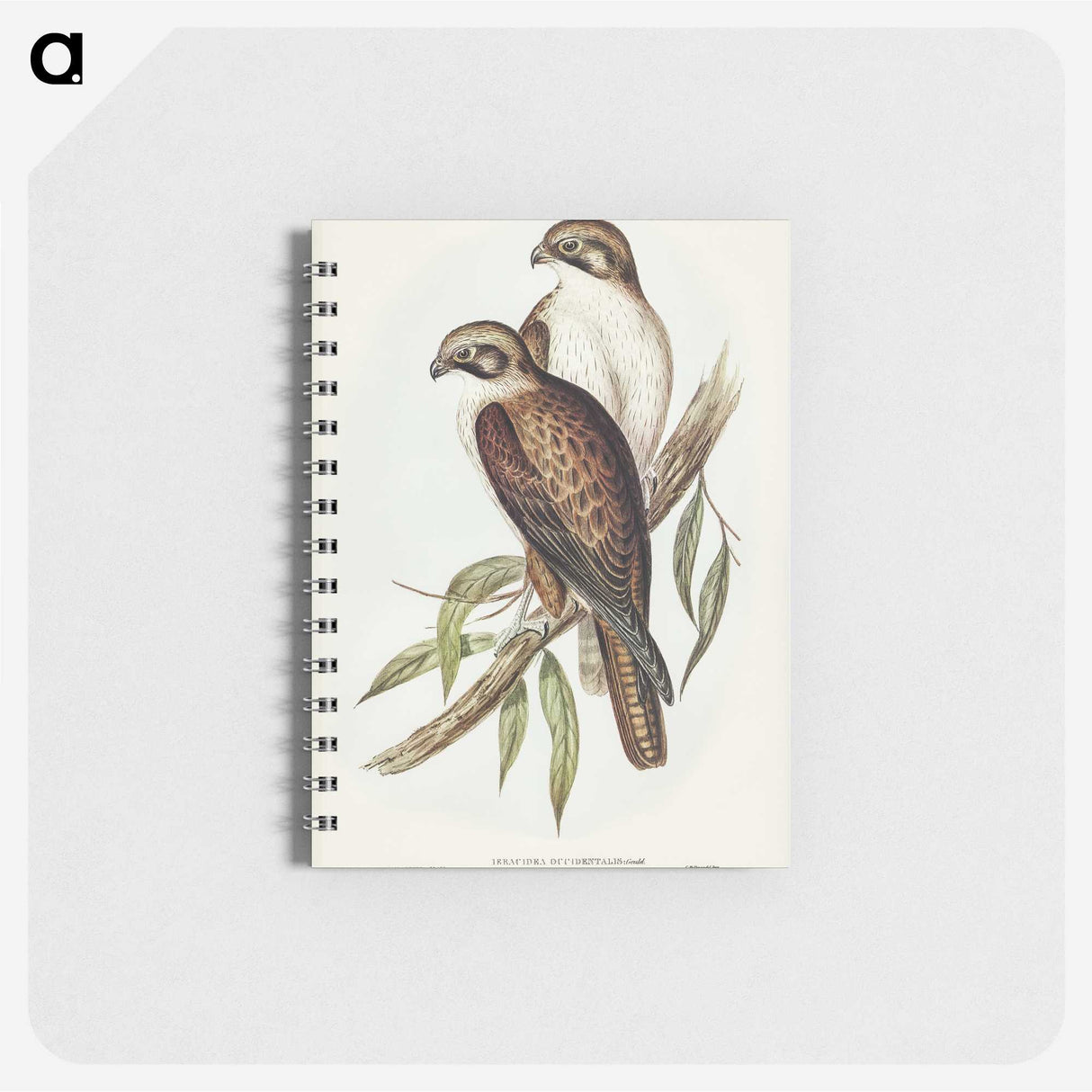 3-54_John-Gould_memo