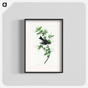 アートポスター-Wood Pewee
 - ジョン ジェームス オーデュボン Poster.