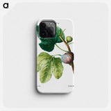 Figs (Ficus) - ピエール ジョゼフ ルドゥーテ Phone Case.