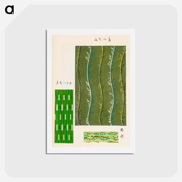 Shima-Shima
 - しましま Postcard.