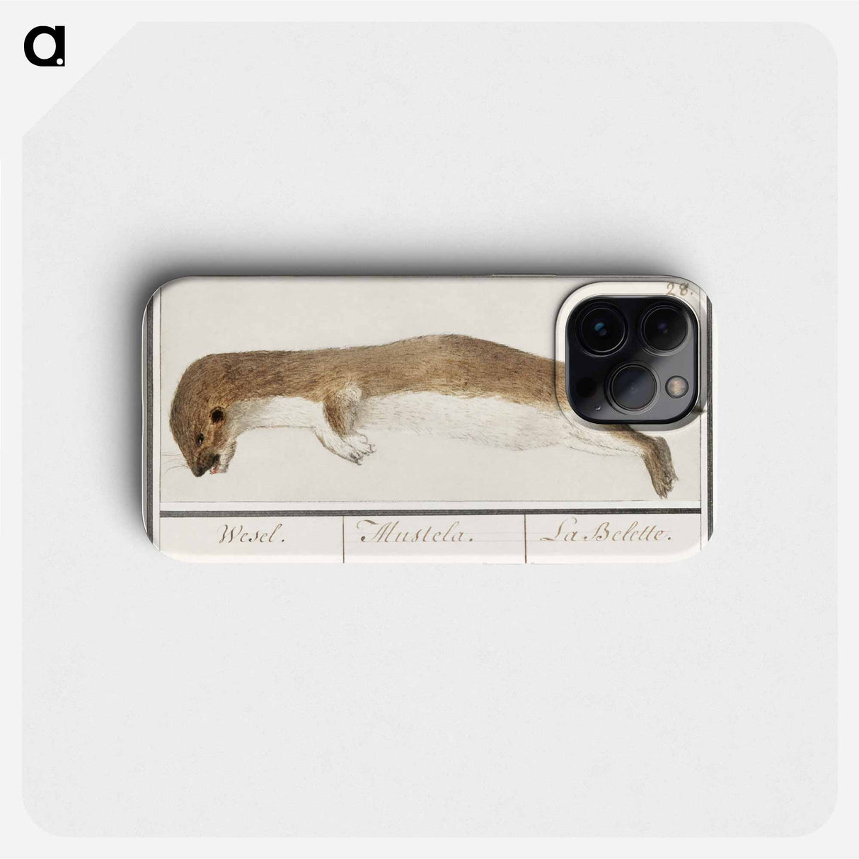 (1596–1610) - アンセルムス ボエティウス デ ブート Phone Case.