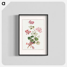 アートポスター-Scarlet and Variegated Geranium
 - クリーブランド美術館 Poster.