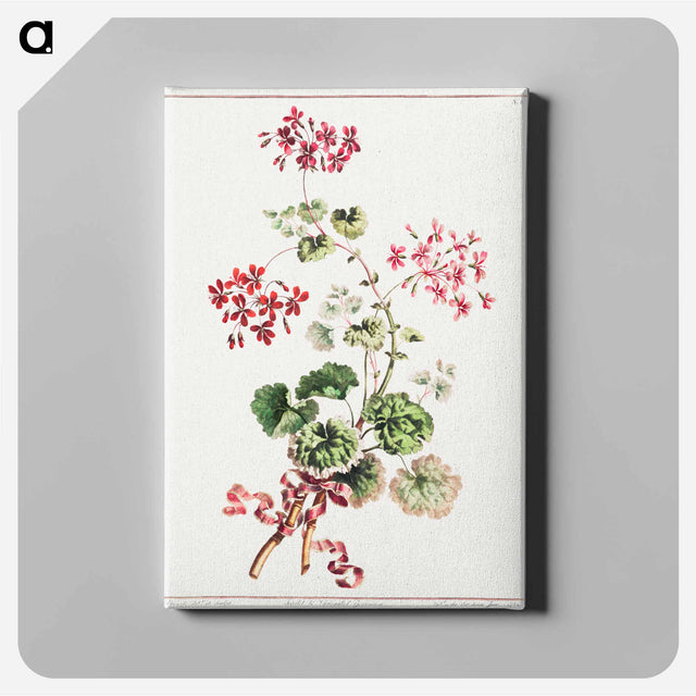 アートパネル-Scarlet and Variegated Geranium
 - クリーブランド美術館 Canvas.