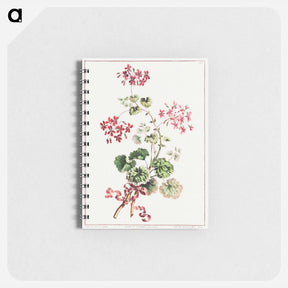 アートメモ帳-Scarlet and Variegated Geranium
 - クリーブランド美術館 Memo.