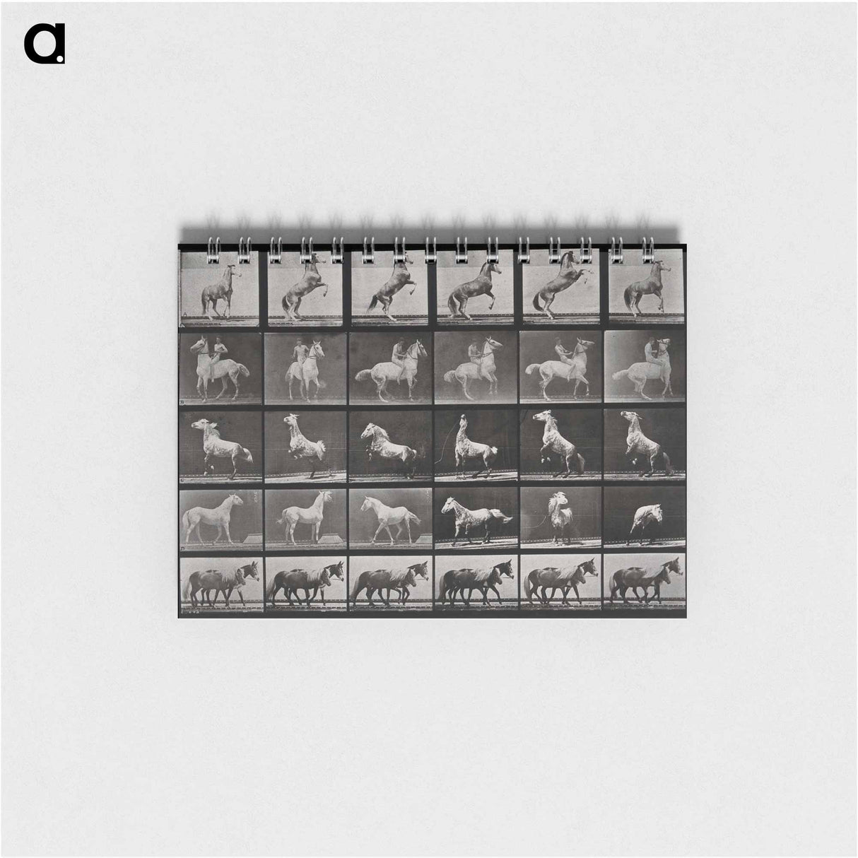 アートメモ帳-Prancing Horse and Ponies
 - エドワード マイブリッジ Memo.