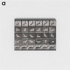 アートメモ帳-Prancing Horse and Ponies
 - エドワード マイブリッジ Memo.