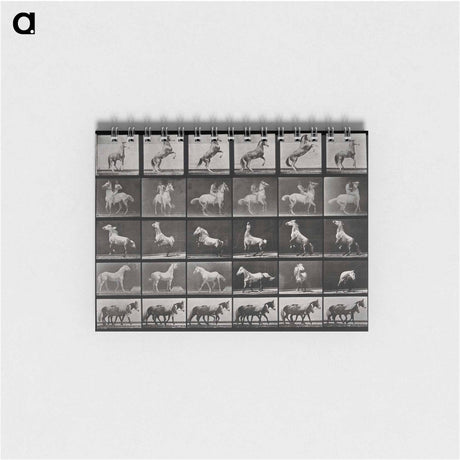 アートメモ帳-Prancing Horse and Ponies
 - エドワード マイブリッジ Memo.
