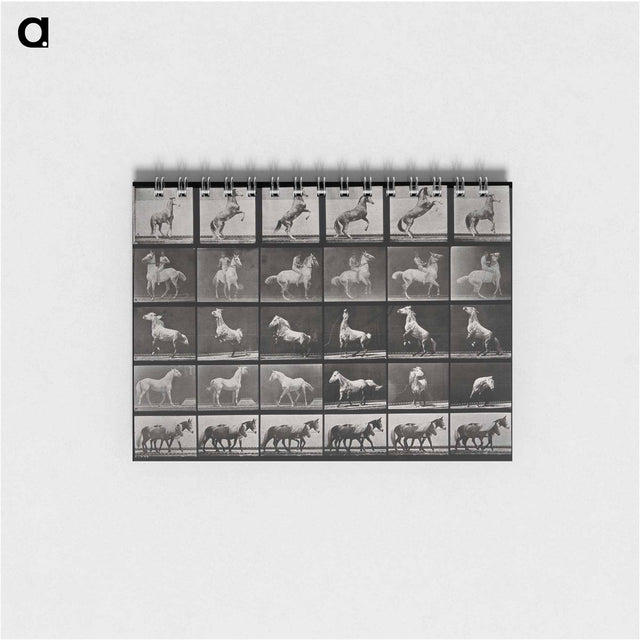 アートメモ帳-Prancing Horse and Ponies
 - エドワード マイブリッジ Memo.
