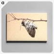 3-55_Insects-Unlocked-Project_canvas