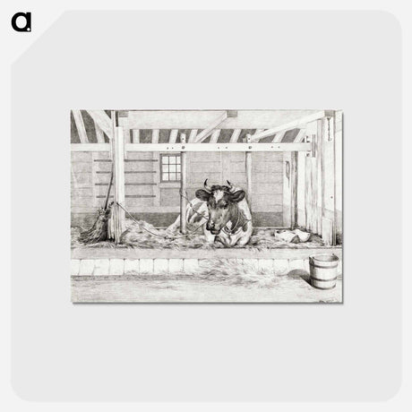 アートポストカード-Lying cow - ジャン ベルナール Postcard.