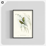 3-55_John-Gould_blk-crop