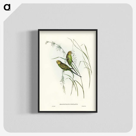 3-55_John-Gould_blk-crop