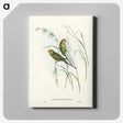3-55_John-Gould_canvas