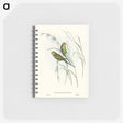 3-55_John-Gould_memo