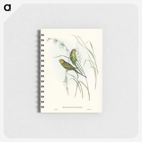 3-55_John-Gould_memo