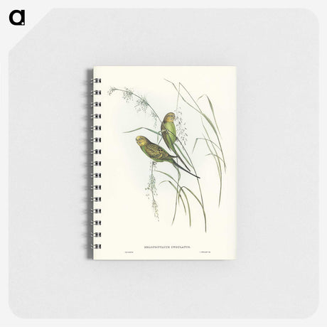 3-55_John-Gould_memo