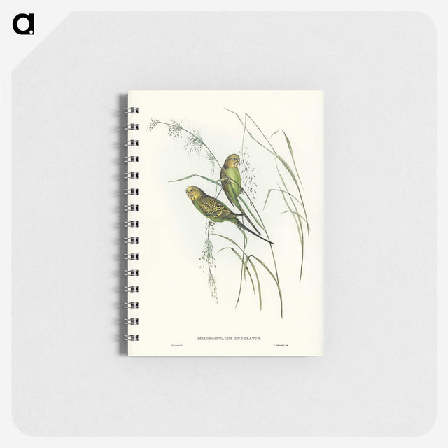 3-55_John-Gould_memo