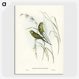 3-55_John-Gould_picture-crop