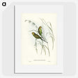 3-55_John-Gould_picture