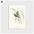 3-55_John-Gould_postcard