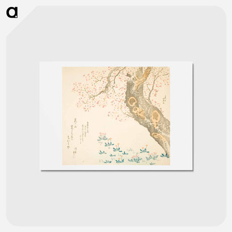 アートポストカード-Hokusai's Dandelions and clovers beneath cherry tree - 葛飾 北斎 Postcard.
