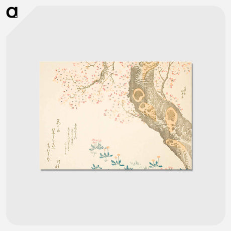 アートポストカード-Hokusai's Dandelions and clovers beneath cherry tree - 葛飾 北斎 Postcard.