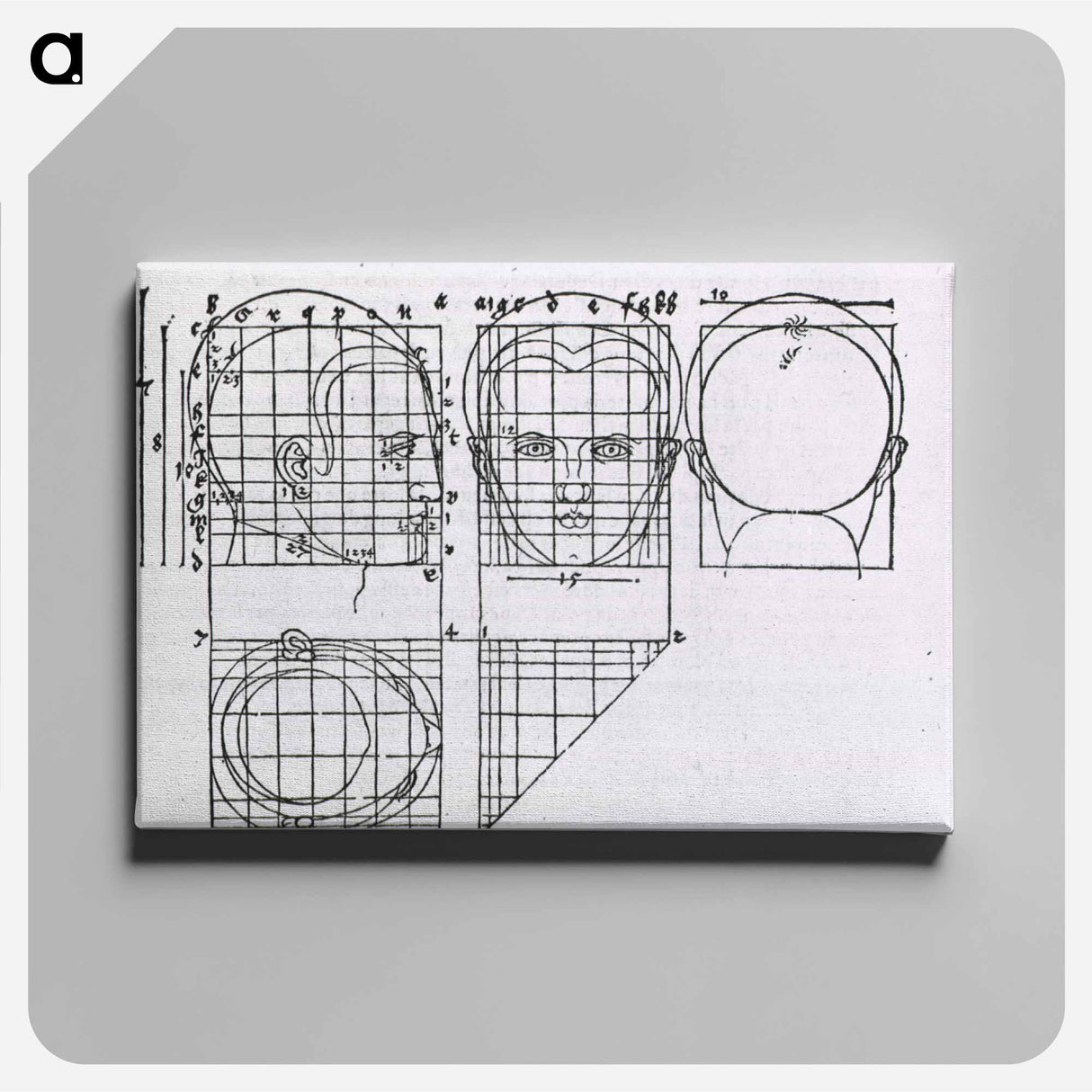 アートパネル-Illustrations on Correct Proportions of Human Anatomy
 - 国立医学図書館 Canvas.