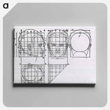 アートパネル-Illustrations on Correct Proportions of Human Anatomy
 - 国立医学図書館 Canvas.