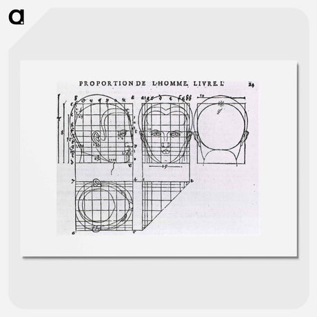 アートポスター-Illustrations on Correct Proportions of Human Anatomy
 - 国立医学図書館 Poster.