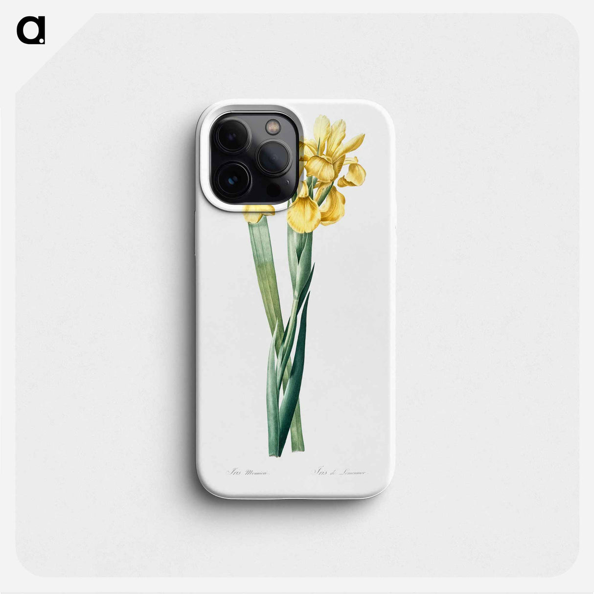 Iris Monnieri - ピエール ジョゼフ ルドゥーテ Phone Case.
