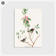 アートポストカード-Ruby crowned Wren from Birds of America
 - アメリカの鳥たち Postcard.