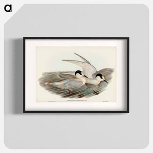 オーストラリア