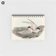 アートメモ帳-Black-billed Tern
 - オーストラリアの鳥 Memo.