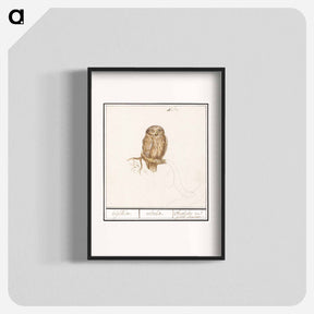 アートポスター-Eurasian Pygmy Owl - アンセルムス ボエティウス デ ブート Poster.