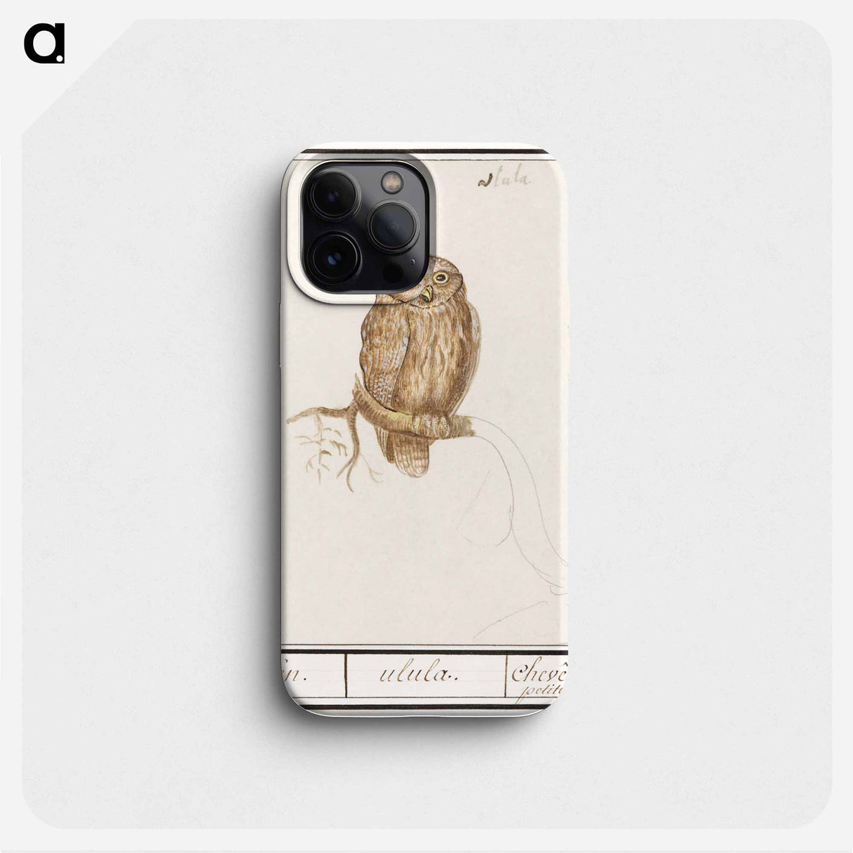 Eurasian Pygmy Owl - アンセルムス ボエティウス デ ブート Phone Case.
