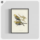 3-56_John-Gould_blk-crop