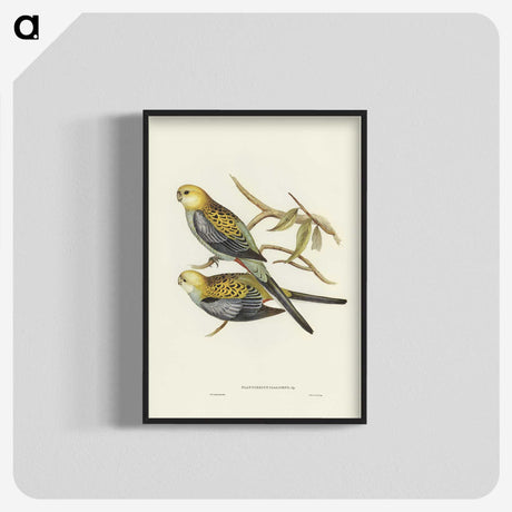 3-56_John-Gould_blk-crop
