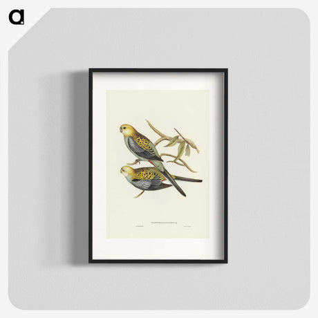 3-56_John-Gould_blk