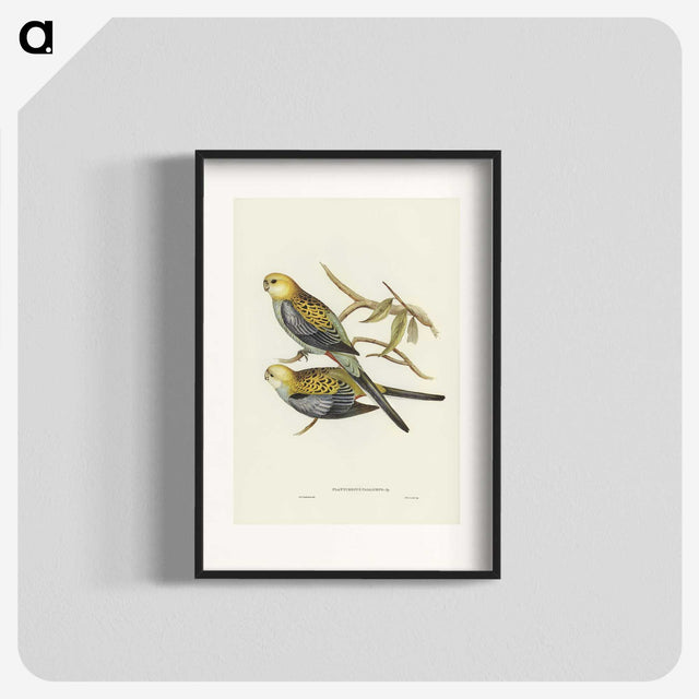 3-56_John-Gould_blk