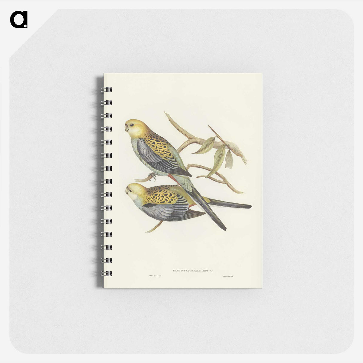 3-56_John-Gould_memo
