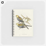 3-56_John-Gould_memo